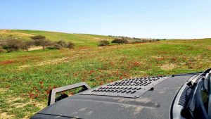 275142780_152315080522092_8701157339482389367_n