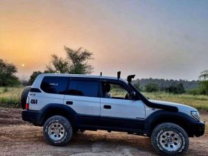 279856941_165968075823459_2853401723718196885_n